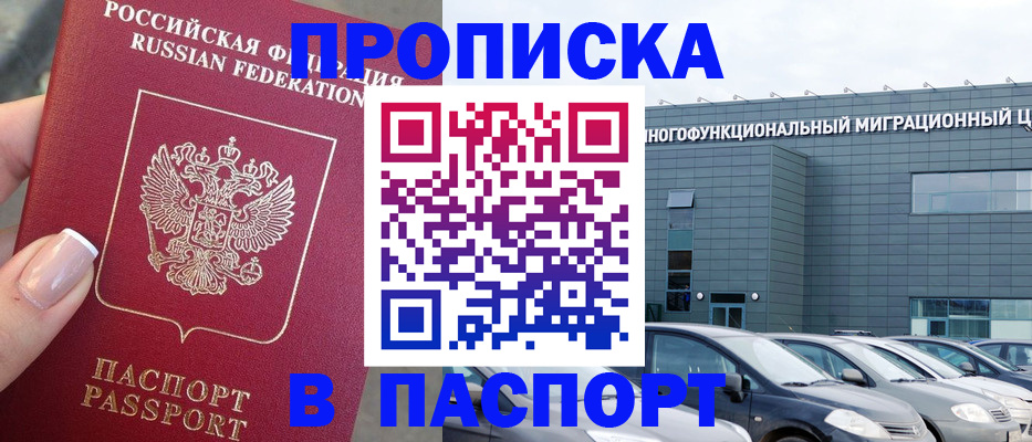прописка для школы в Михайловке